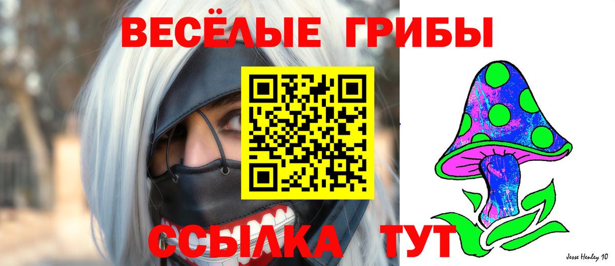 Псилоцибиновые грибы Psilocybine cubensis Феодосия
